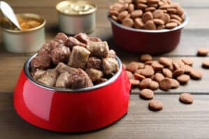 12 Best Wet Dog Food 2022 (Reviewed & Tested) Happylifeguru
