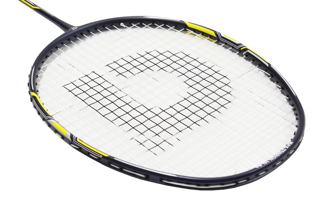 Badminton Racket With The Best Control Happylifeguru 1