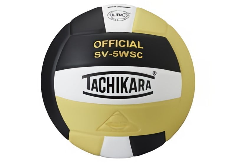Best Volleyball For Professional Players Happylifeguru