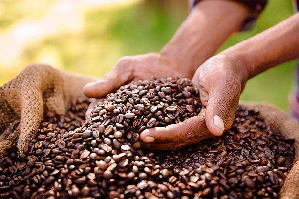 Final Words About Best Coffee Beans Happylifeguru