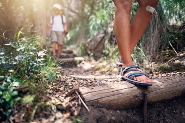 What Do I Need To Look For In Hiking Sandals Happylifeguru