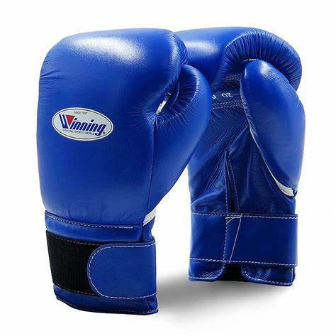 Best Boxing Gloves Overall Happylifeguru