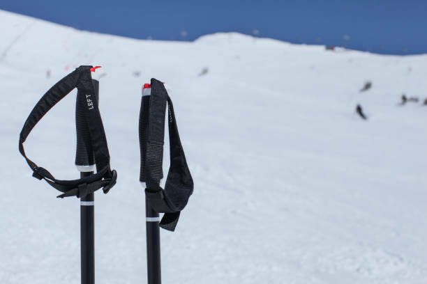Ski Poles Grip Straps Happylifeguru
