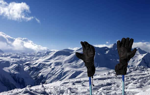 The 11 Best Ski Gloves to Hit The Slopes of 2022 (Buyer's Guide) Final Words Happylifeguru