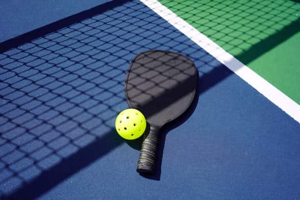 The 6 Best Pickleball Paddles For Every Type of Player (Reviewed) Final Words Happylifeguru