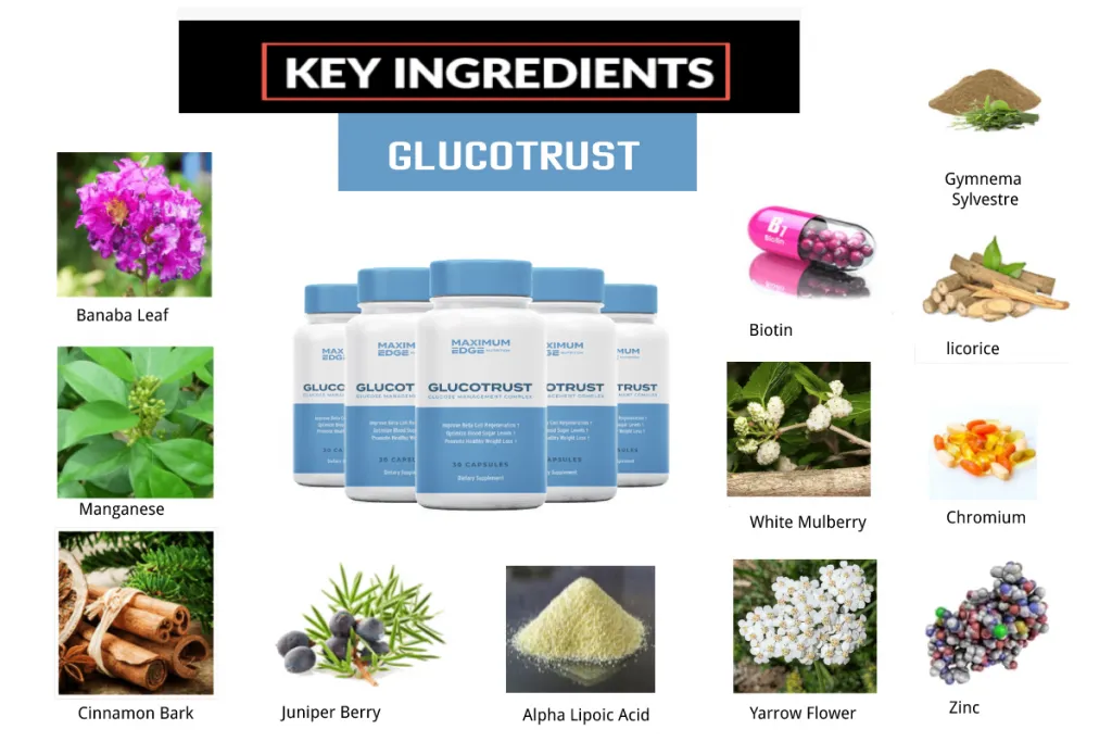 GlucoTrust Ingredients List 1024x683 1